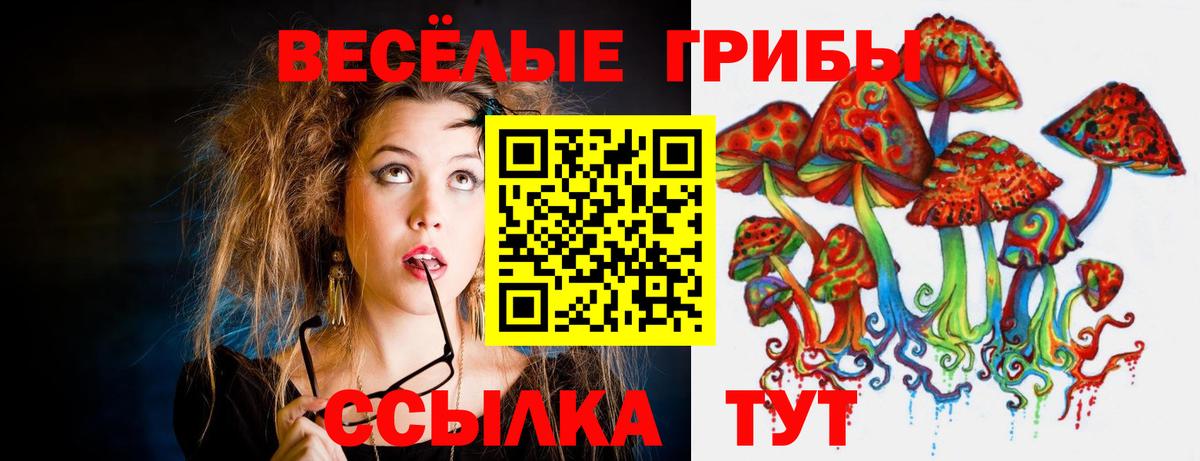 Волжск  Псилоцибиновые грибы Psilocybine cubensis  Галлюциногенные грибы Psilocybe  Вход с VPN 