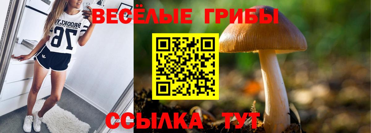 Псилоцибиновые грибы мицелий Волжск